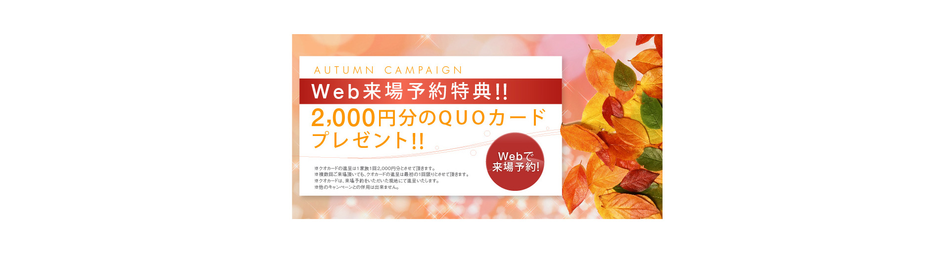 Autumn Campaign